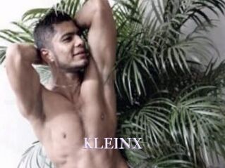 KLEINX