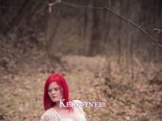 Kerosynee