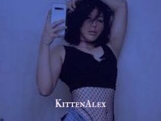 KittenAlex