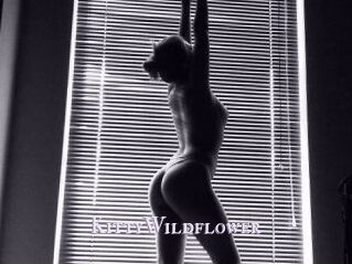 KittyWildflower