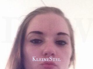 KleineStel