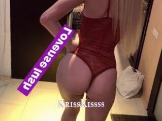 KrissKissss