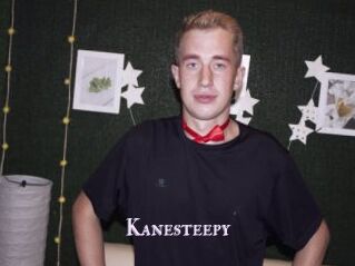 Kanesteepy