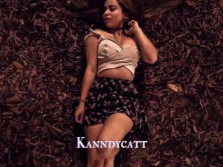 Kanndycatt