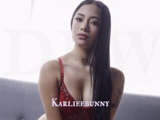 Karlieebunny