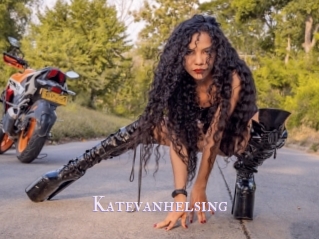 katevanhelsing X Drow