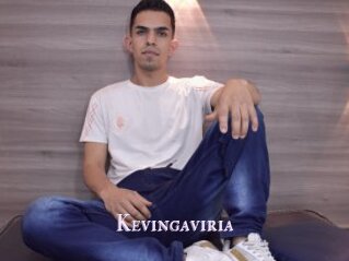 Kevingaviria