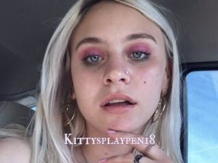 Kittysplaypen18