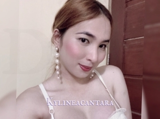 Kylineacantara