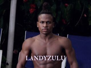 LANDYZULU