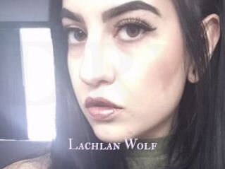 Lachlan_Wolf