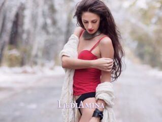 LediAmina