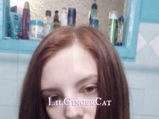 LilGingerCat