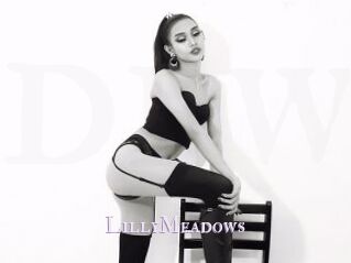 LillyMeadows