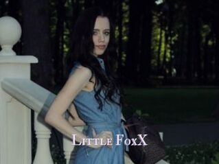 Little_FoxX