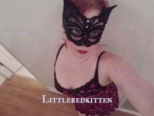 Littleredkitten