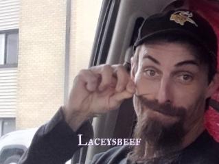 Laceysbeef