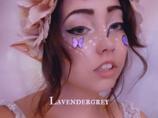 Lavendergrey