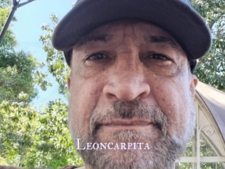 Leoncarpita