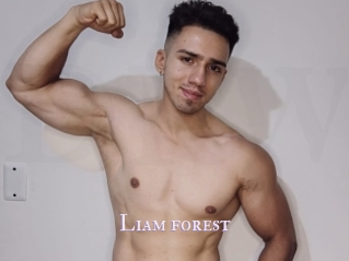 Liam_forest