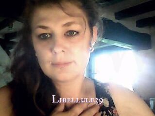 Libellule39