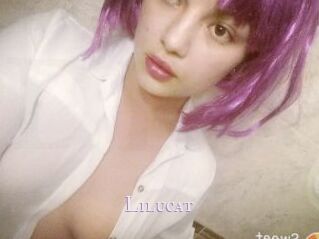 Lilucat