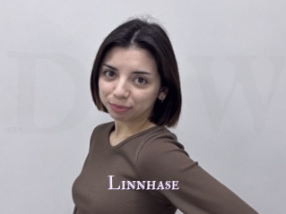 Linnhase