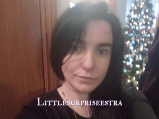 Littlesurpriseestra