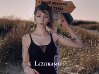 Lizhkamics