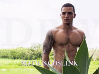 MATIUS_COSLINK