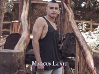 Marcus_Levit