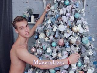 MarvinFrey