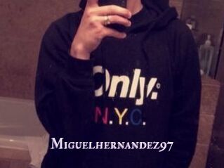 Miguel_hernandez97