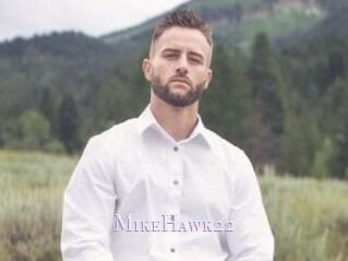 MikeHawk22