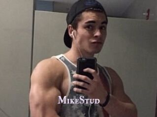 MikeStud