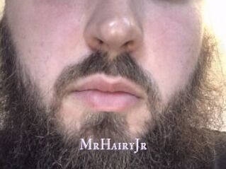 MrHairyJr
