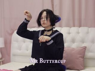 Mr_Buttercup