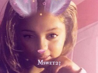 Mswet23