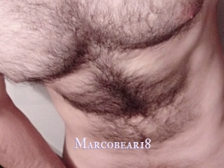 Marcobear18