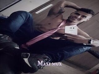 Maxi_mux