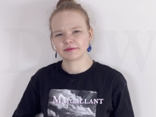 Maygallant