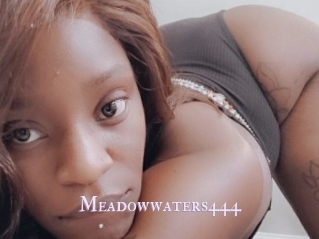 Meadowwaters444