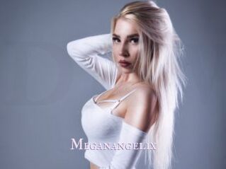 Meganangelix