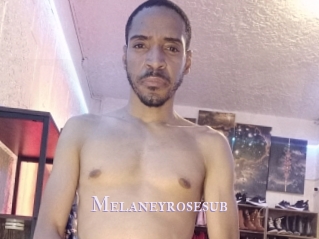 Melaneyrosesub