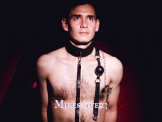 Mikeslave23