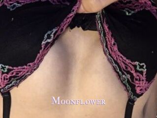 Moonflower