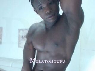 Mulatohotfu