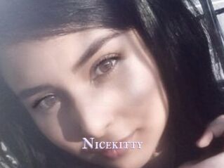 Nicekitty