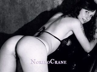 NorikoCrane