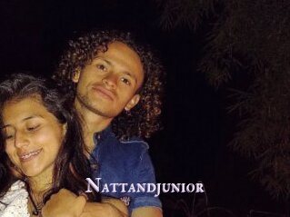 Nattandjunior